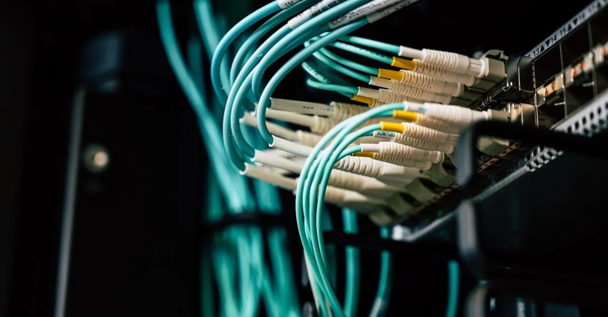 A tidy network comms cabinet with patch panels and labelled Cat6 cables