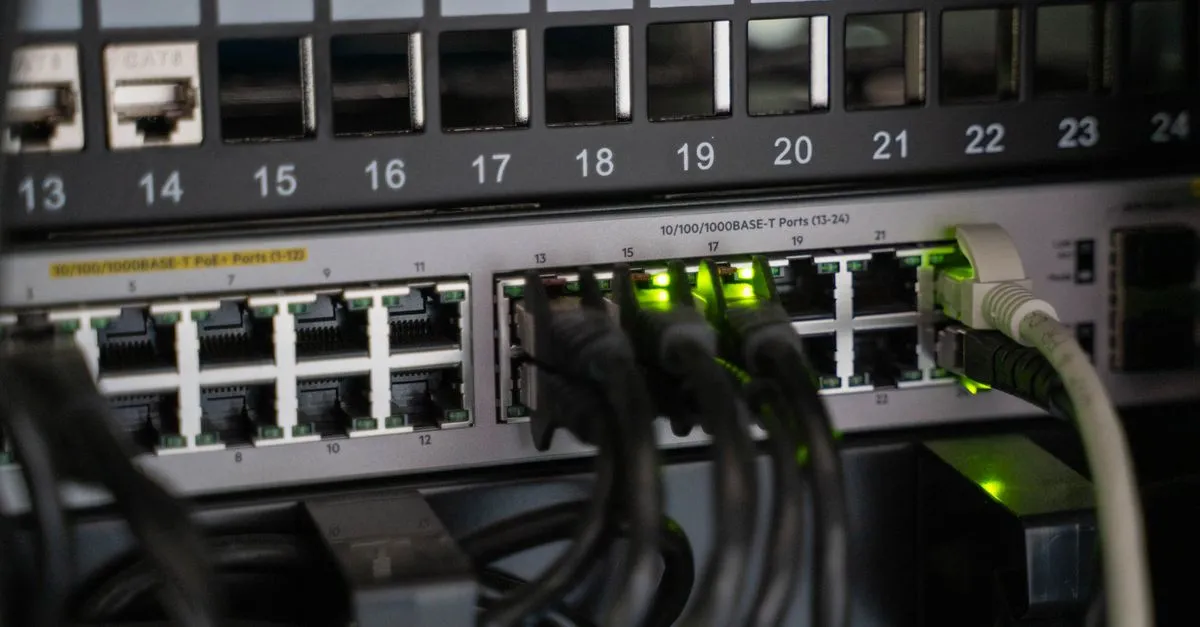 Network cables plugged into a business network switch